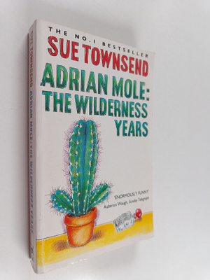 Sue Townsend : Adrian Mole : the wilderness years