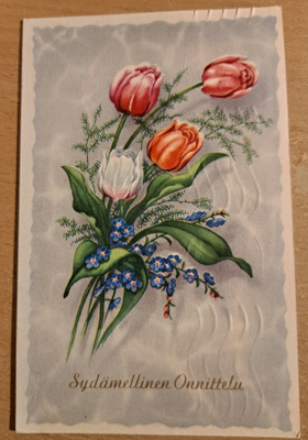 kukkakortti, tulppaanit, kulkenut 1962