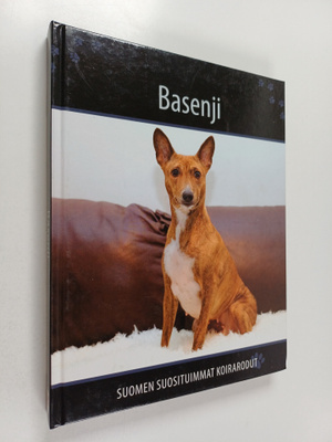 Basenji
