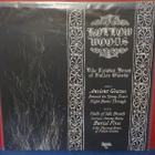 Hollow Woods - Like Twisted Bones Of Fallen Giants M/M LP - pikkukuva 2
