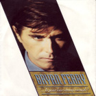 Bryan Ferry - Is Your Love Strong Enough? - pikkukuva 1