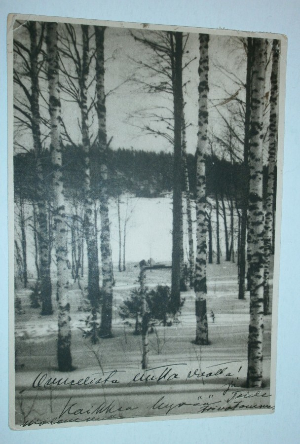 Talvikoivuja, vanha mv pk, Punainen Risti, p. 1932