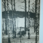 Talvikoivuja, vanha mv pk, Punainen Risti, p. 1932 - pikkukuva 1