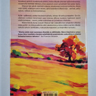 Maeve Binchy : Punapyökin varjossa - pikkukuva 2