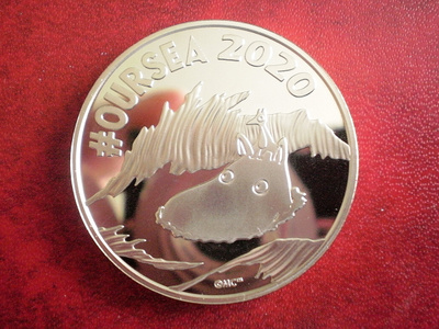 Muumit ja Itämeri mitali v. 2020
