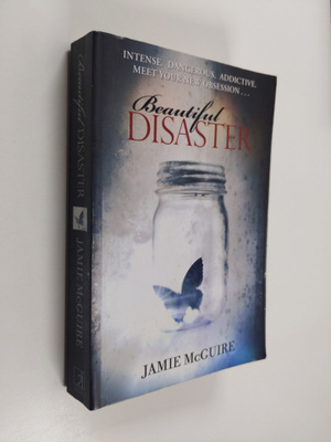 Jamie McGuire : Beautiful disaster