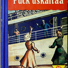 Lisbeth Werner: Puk -sarjaa (pokkari) - pikkukuva 3