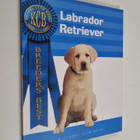 Nona Kilgore Bauer : Labrador Retriever - pikkukuva 1