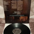 Barron Longfellow Amour lp - pikkukuva 2