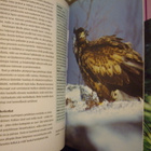 Dag Kjelsaas: RETKEILIJÄN ELÄINOPAS (2005) Sis.postikulut - pikkukuva 4
