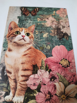 Kissa kortti,kulkematon.