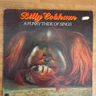 Billy Cobham - A funky thide of sings LP - pikkukuva 1