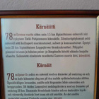 Impaktiitti 2.05 kg kärnäiitti 78 milj.v. asteroidin törmäys - pikkukuva 5