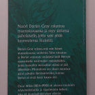 Oscar Wilde - Dorian Grayn muotokuva - pikkukuva 3