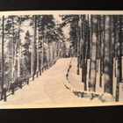 VANHA Postikortti Punkaharju 1920 - pikkukuva 1