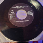 Lapinlahden Linnut Otto Ja Pano - pikkukuva 2