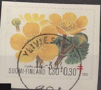 1983 tub 1,30mk lähes loisto Ylivieska-84