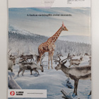 Kotivinkki 2-4/2023 - pikkukuva 2