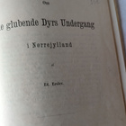 om de glubende dyrs undergang i norrejylland v 1871 - pikkukuva 2
