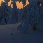 Juhani Hummasti - Jäljet hangessa foto tk - pikkukuva 1