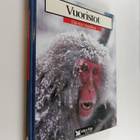 Vuoristot : panda, kondori, karhu, laamat, japaninmakaki,... - pikkukuva 1