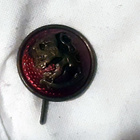 Upseerin Kokardi - Metallia - Halkaisija: n. 22 mm - pikkukuva 2
