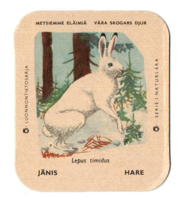 Kahvilappu JÄNIS Isompi kuvakoko