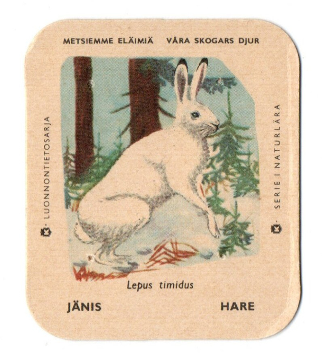 Kahvilappu JÄNIS Isompi kuvakoko