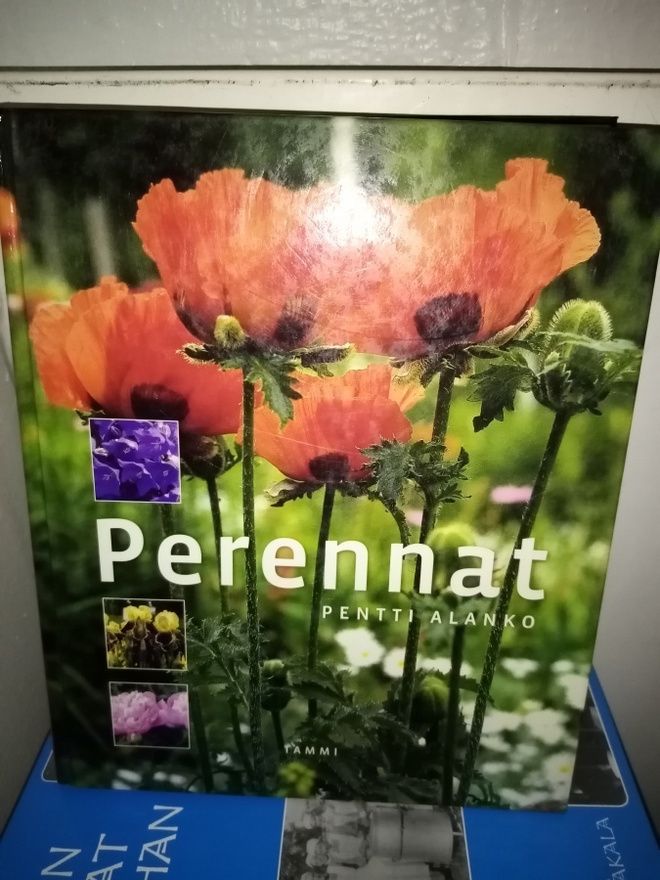 Pentti Alanko :  PERENNAT ( SIS POSTIKULU)