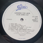 Colin James Hay – Looking For Jack LP UK - pikkukuva 2
