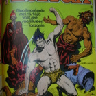 Tarzan 1980 paksu teos - pikkukuva 2