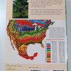 Bijan Dehgan : Landscape plants for subtropical climates - pikkukuva 2