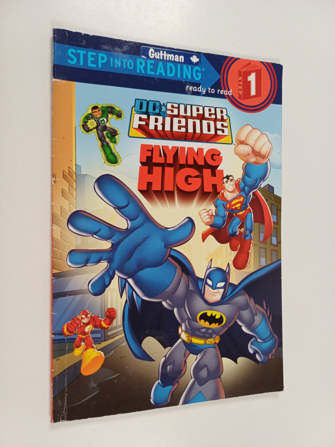 DC Super Friends : Flying High