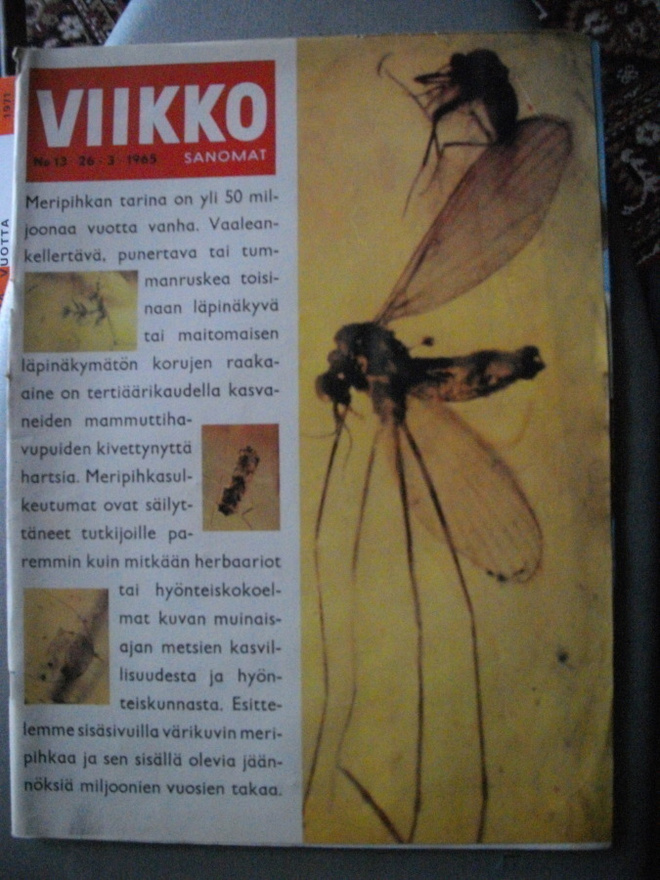 Viikkosanomat Nro 13/1965 (15.3)