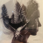Various - Rakastin CD (Alma, Vesala, JVG, Robin, Sanni...) - pikkukuva 1