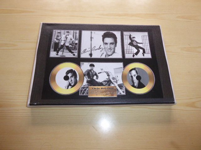 Elvis Presley canvastaulu koko 20 cm x 30 cm