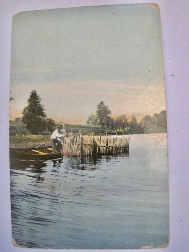 VANHA Postikortti Katiskan Kokija 1917
