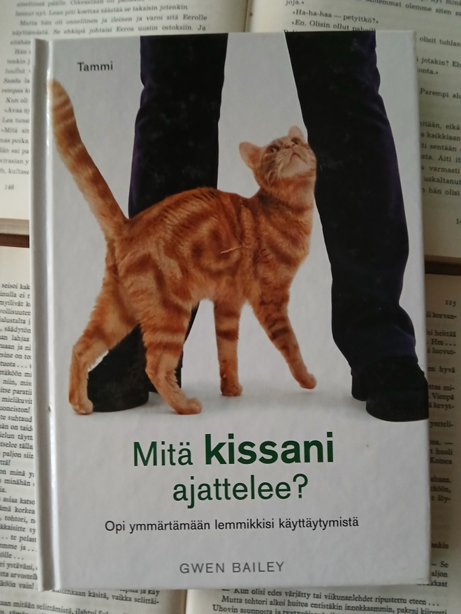 Gwen Bailey - Mitä kissani ajattelee? (sid.)