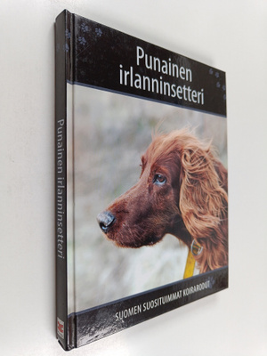 Petra Palukka : Punainen irlanninsetteri