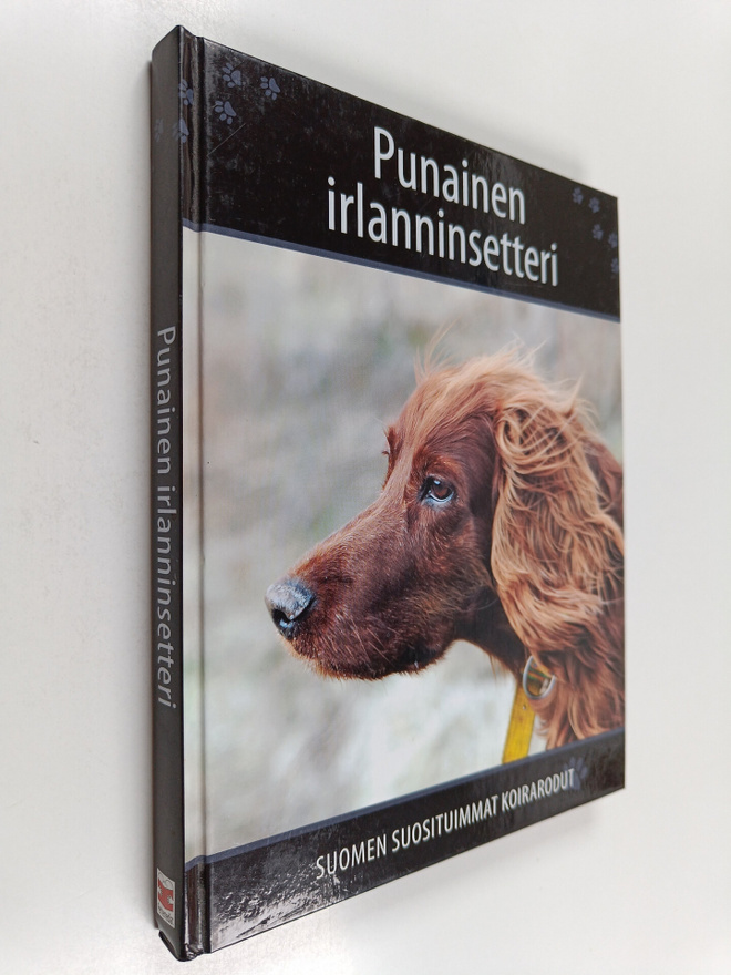 Petra Palukka : Punainen irlanninsetteri