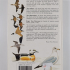 Per Alstrom : A field guide to the rare birds of Britain ... - pikkukuva 2