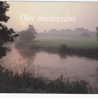 JOKIMAISEMA,  OLET MIELESSÄIN - pikkukuva 1