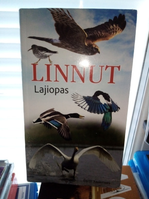 Pertti Koskimies : Linnut lajiopas ( SIS POSTIKULU)