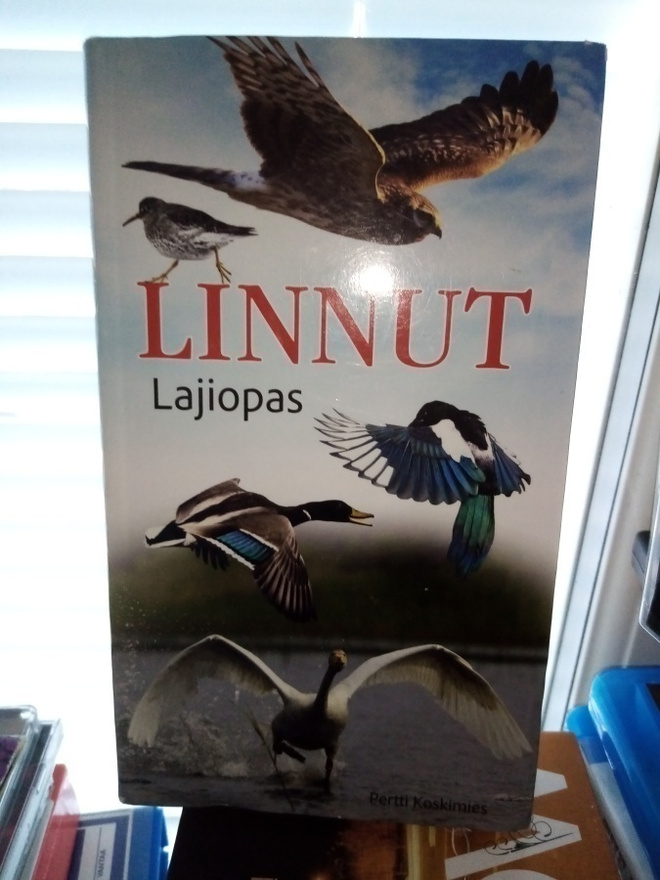 Pertti Koskimies : Linnut lajiopas ( SIS POSTIKULU)
