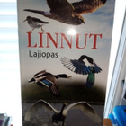 Pertti Koskimies : Linnut lajiopas ( SIS POSTIKULU) - pikkukuva 1