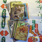 Harry Potter evolution kortit - pikkukuva 2