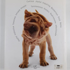 Jane Burton : Puppies : Wet noses and fuzzy bellies - pikkukuva 2