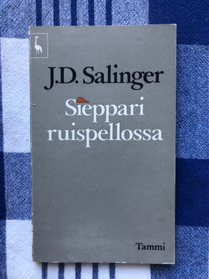 J.D. Salinger: Sieppari ruispellossa. 1973.