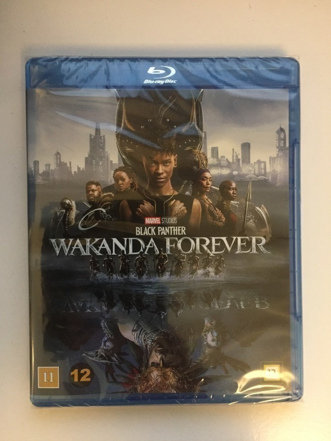 Black Panther: Wakanda Forever (Blu-ray) 2022 (UUSI)