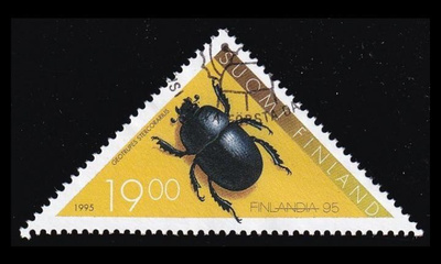 1292 o Kovakuoriainen EPL (1995)